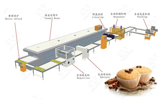 cupcake liners supplier