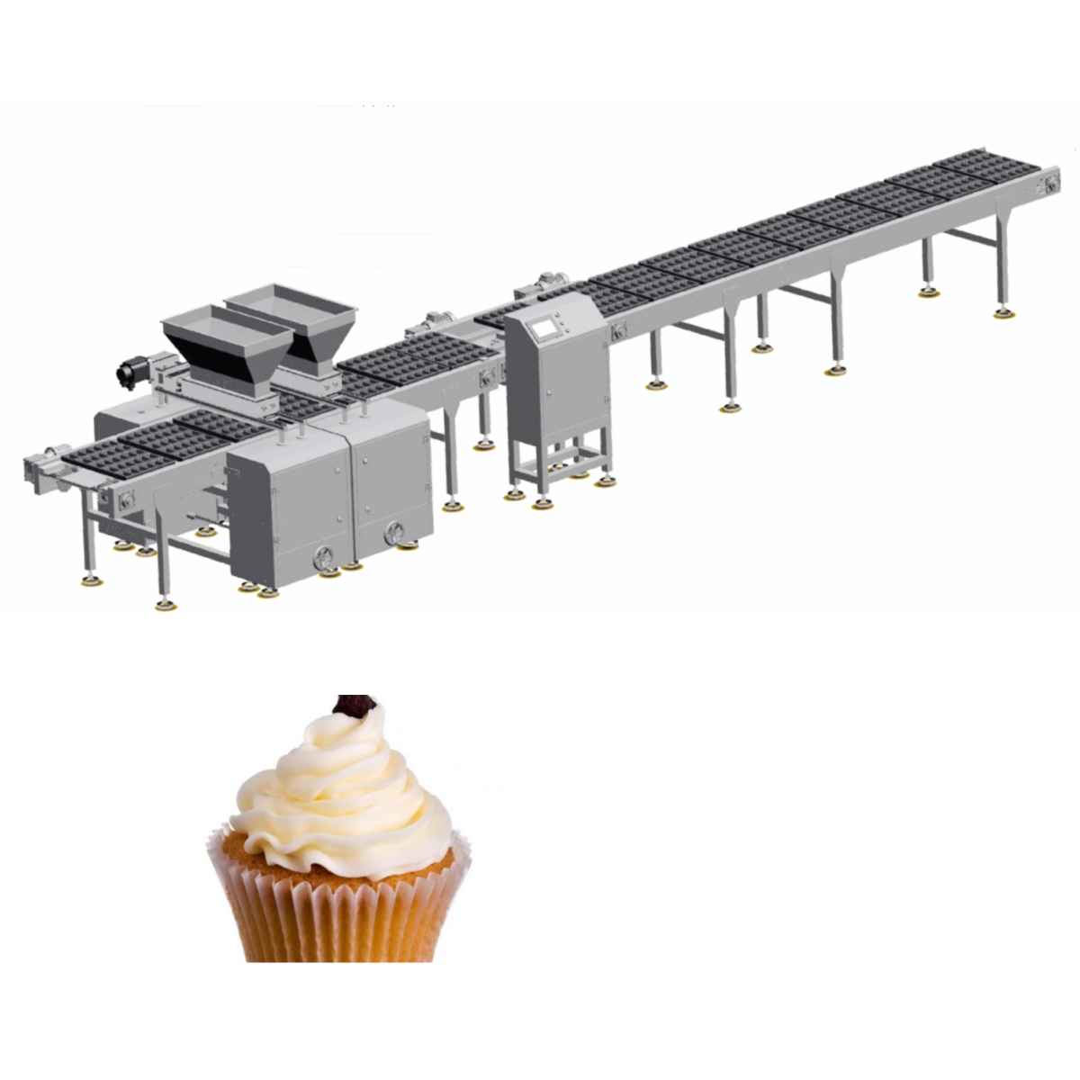 cupcake liners supplier
