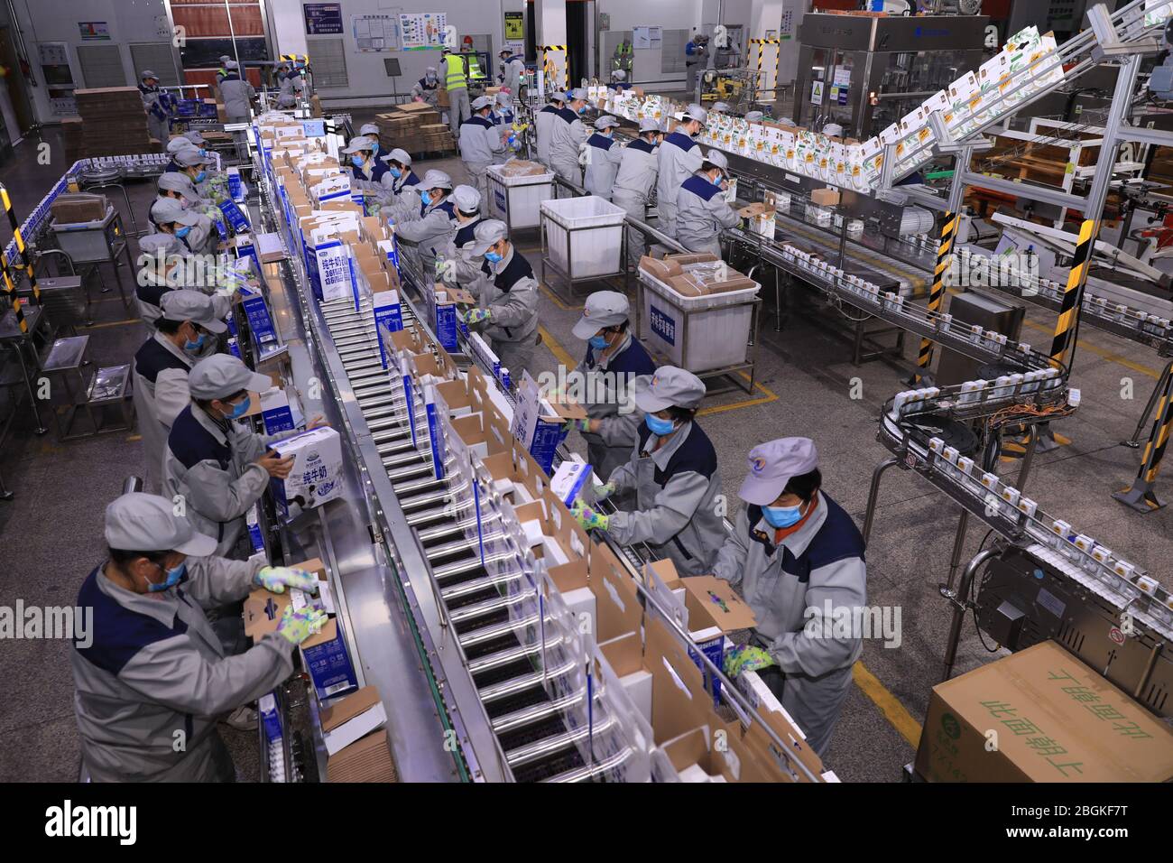 dairy supplier