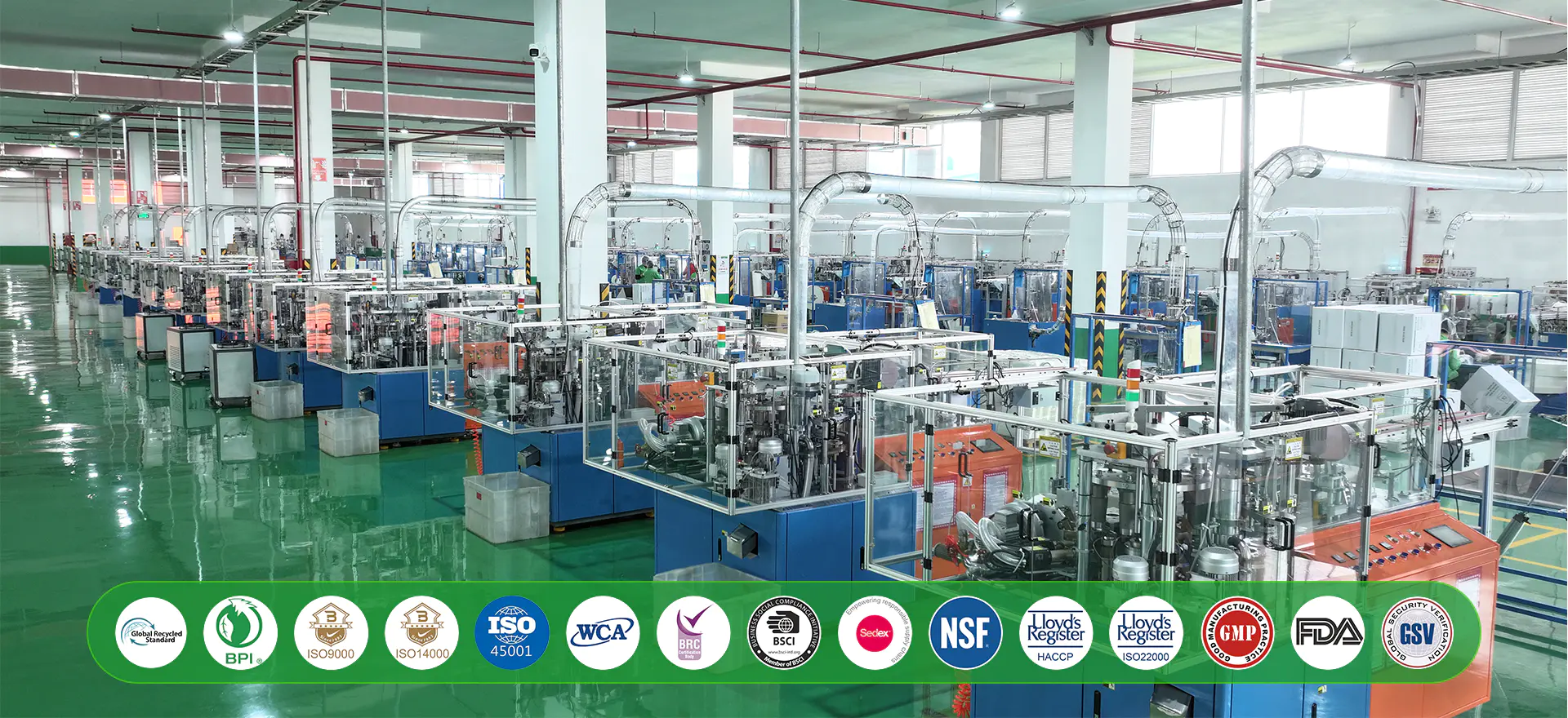 disposable tableware supplier