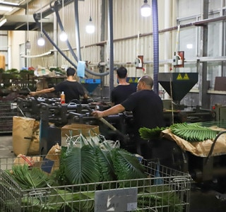 artificial plants manufacturers