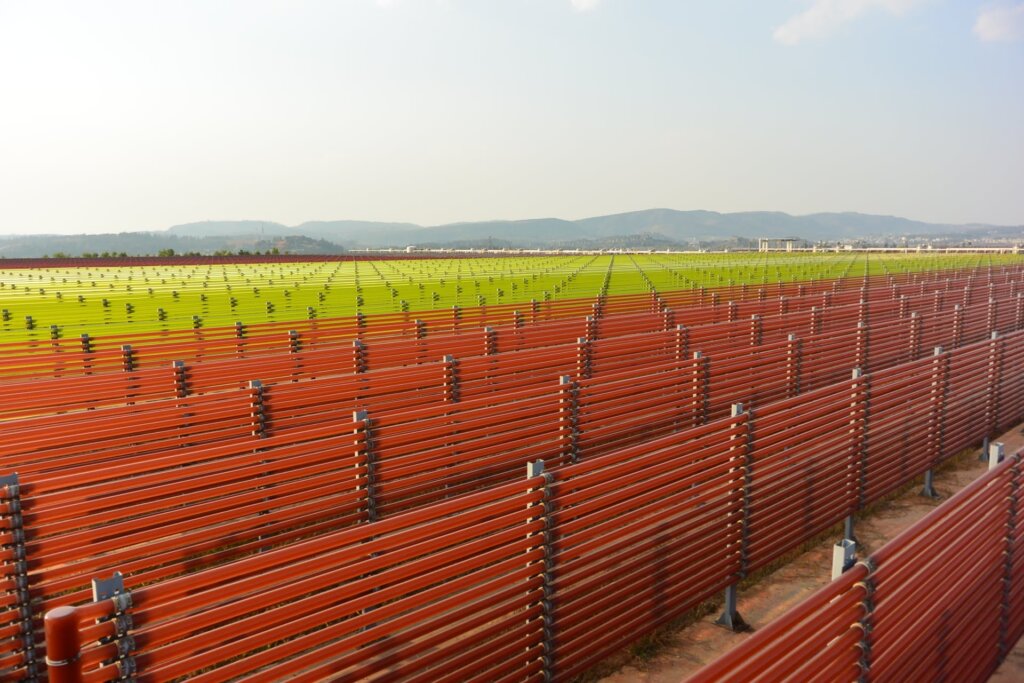 Sourcing Astaxanthin Manufacturer from China: The Ultimate Guide 2026