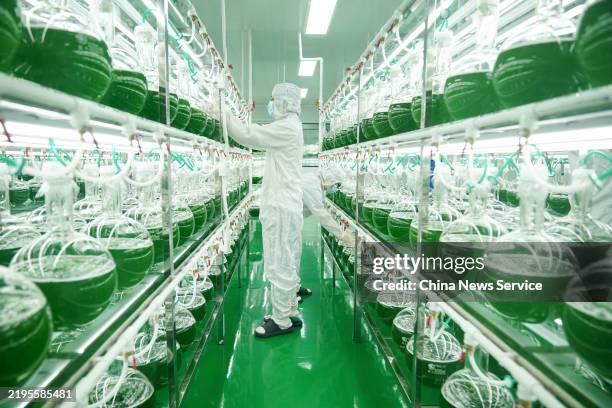 astaxanthin manufacturer