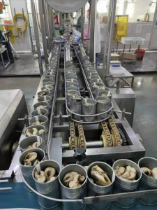fish supplier
