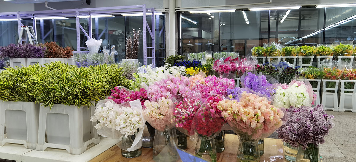 florist supplier toronto