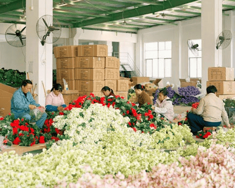 florist supplier toronto