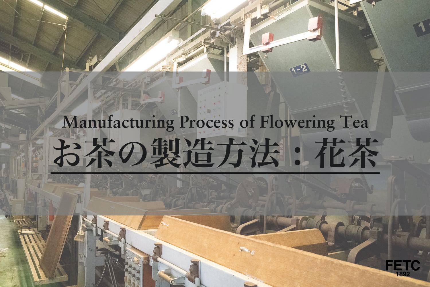 flowering tea wholesale europe supplier