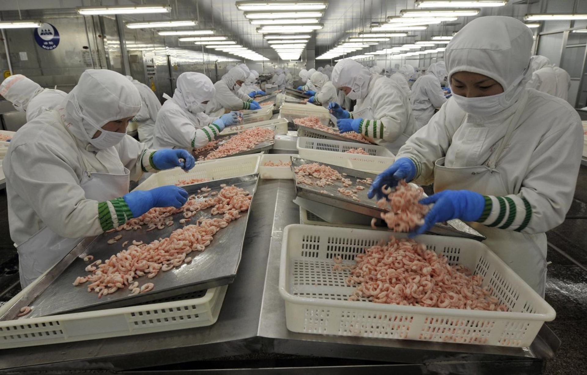 food ingredient supplier