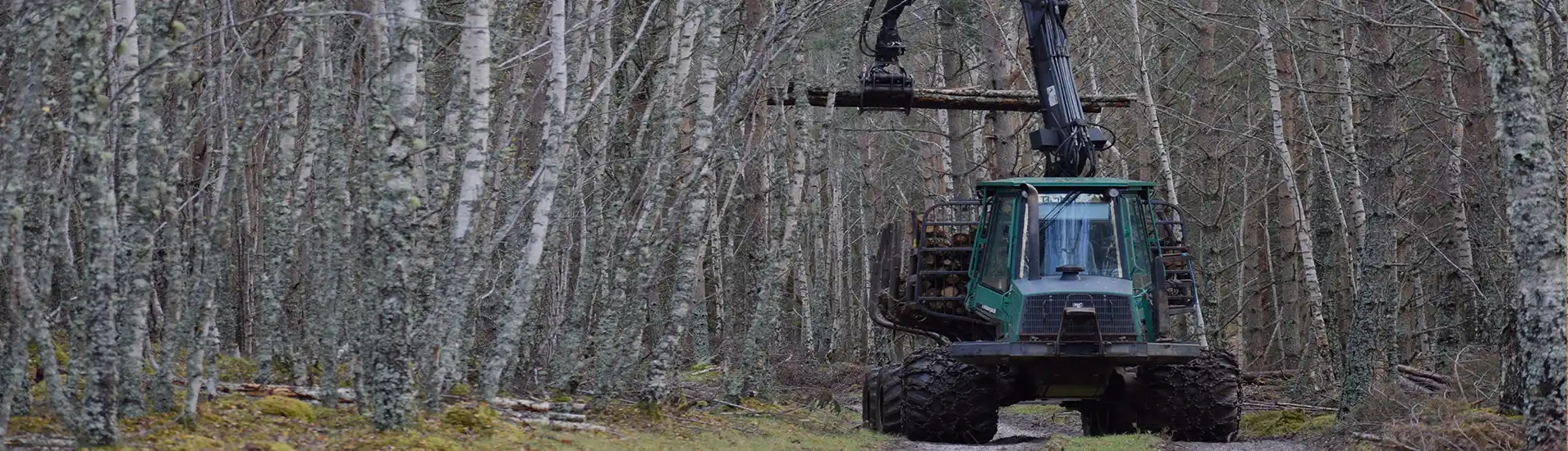 forestry supplier