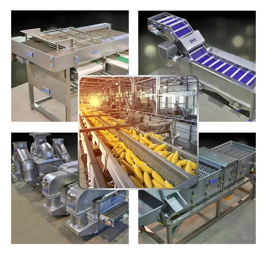 frozen goods supplier