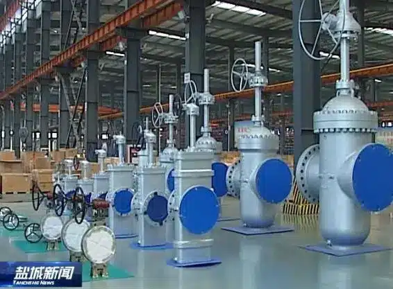 gate valve supplier