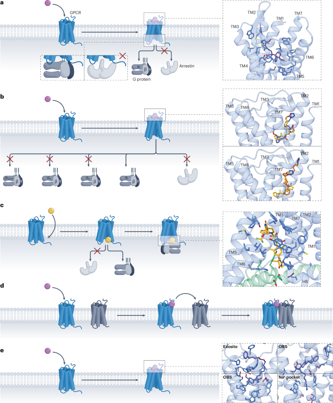 gpcr inhibitors supplier