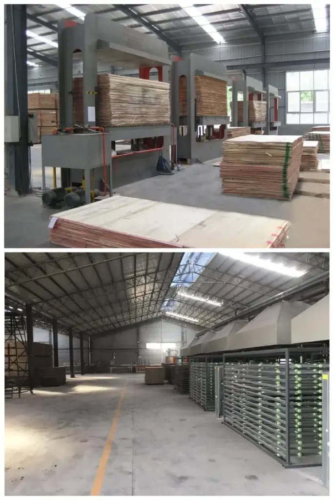Sourcing Gray Poplar Supplier from China: The Ultimate Guide 2026