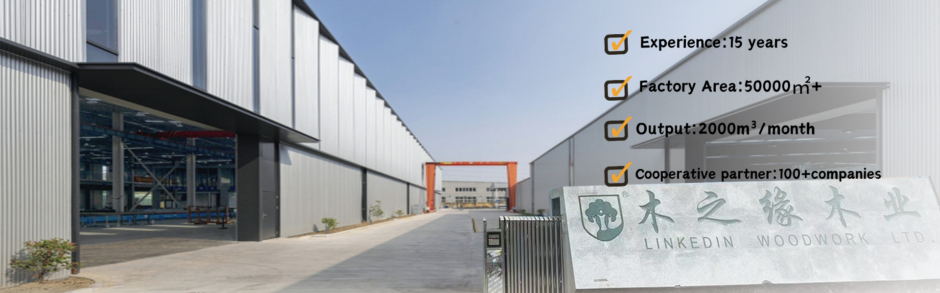 gray poplar supplier