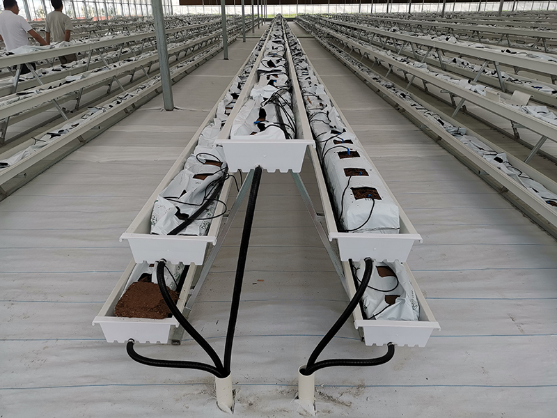 greenhouse supplier