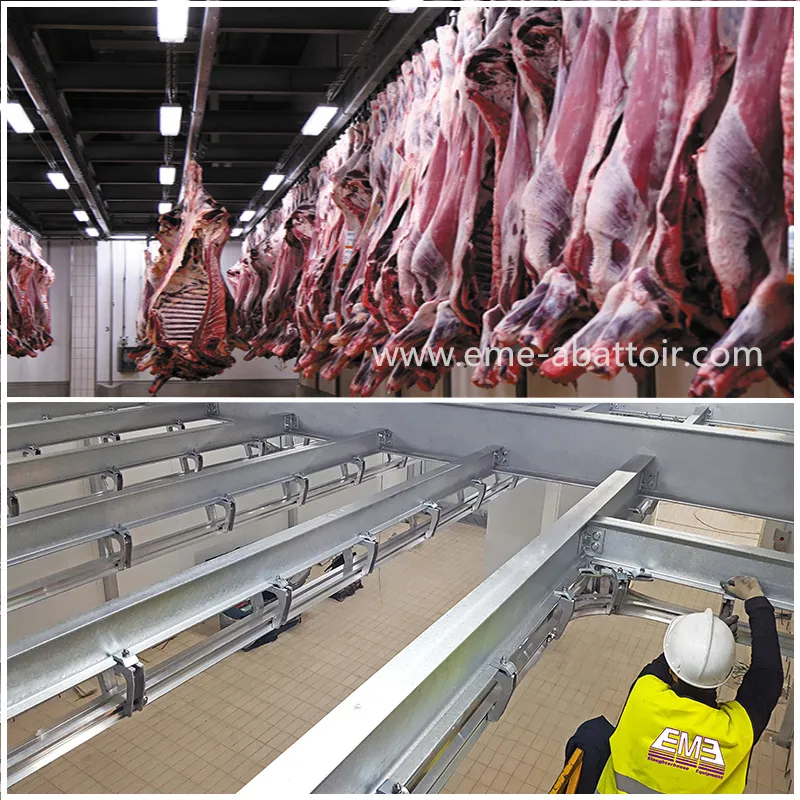 Sourcing Halal Meat Supplier from China: The Ultimate Guide 2026
