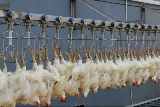halal meat supplier