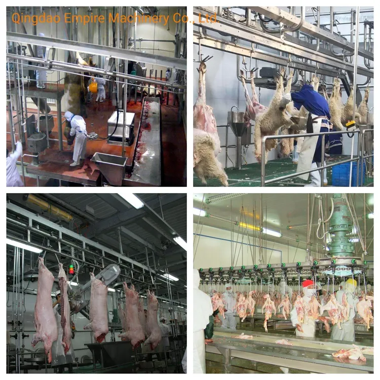 halal meat supplier