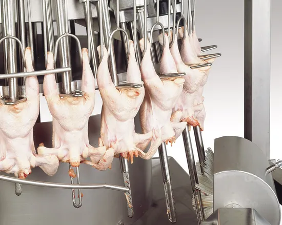 halal meat supplier