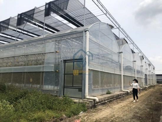 homestead supplier greenhouse