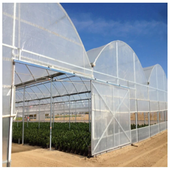 homestead supplier greenhouse