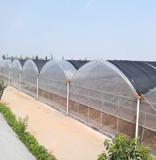 homestead supplier greenhouse