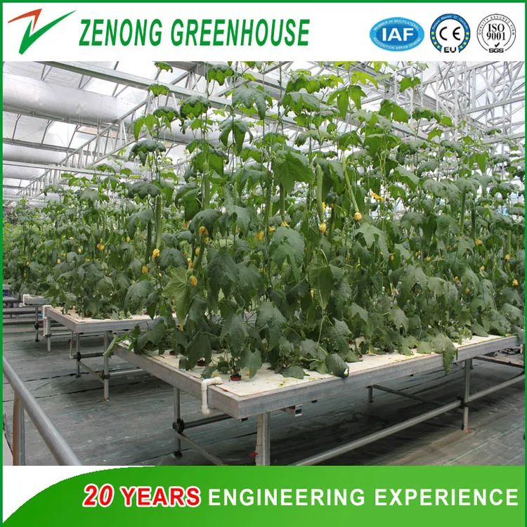 hydroponics equipment supplier