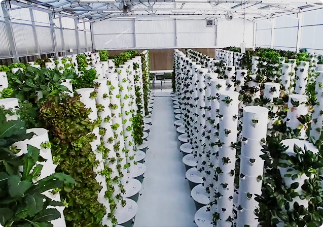 hydroponics equipment supplier