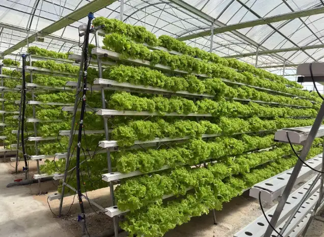 hydroponics equipment supplier