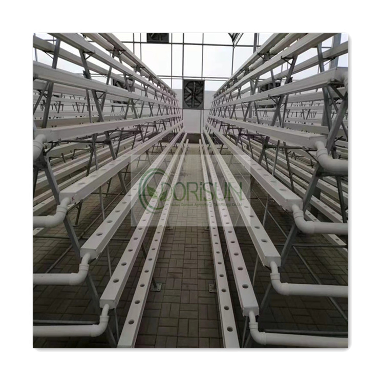 hydroponics supplier