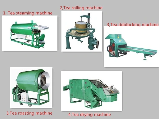matcha supplier