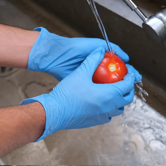 blue food service disposable gloves manufacturer