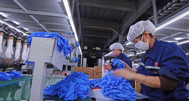 blue food service disposable gloves manufacturer