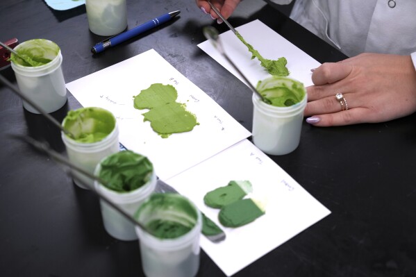 natural food color supplier