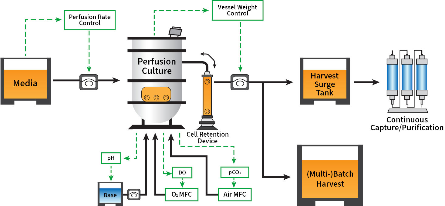 natural health raw material supplier