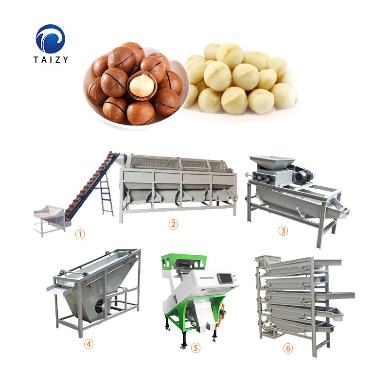 nuts supplier