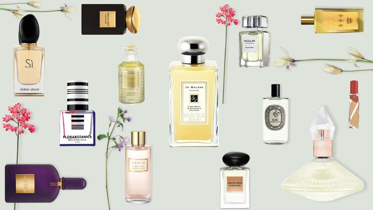 perfume distributors supplier