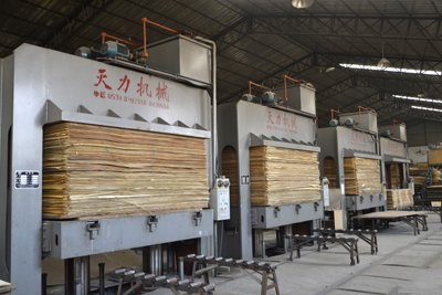 plywood supplier