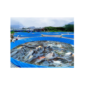 pond fish supplier
