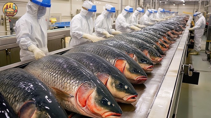 pond fish supplier