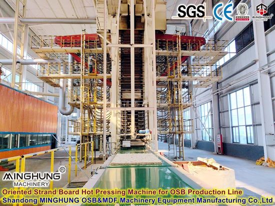 Sourcing Reed Supplier from China: The Ultimate Guide 2026