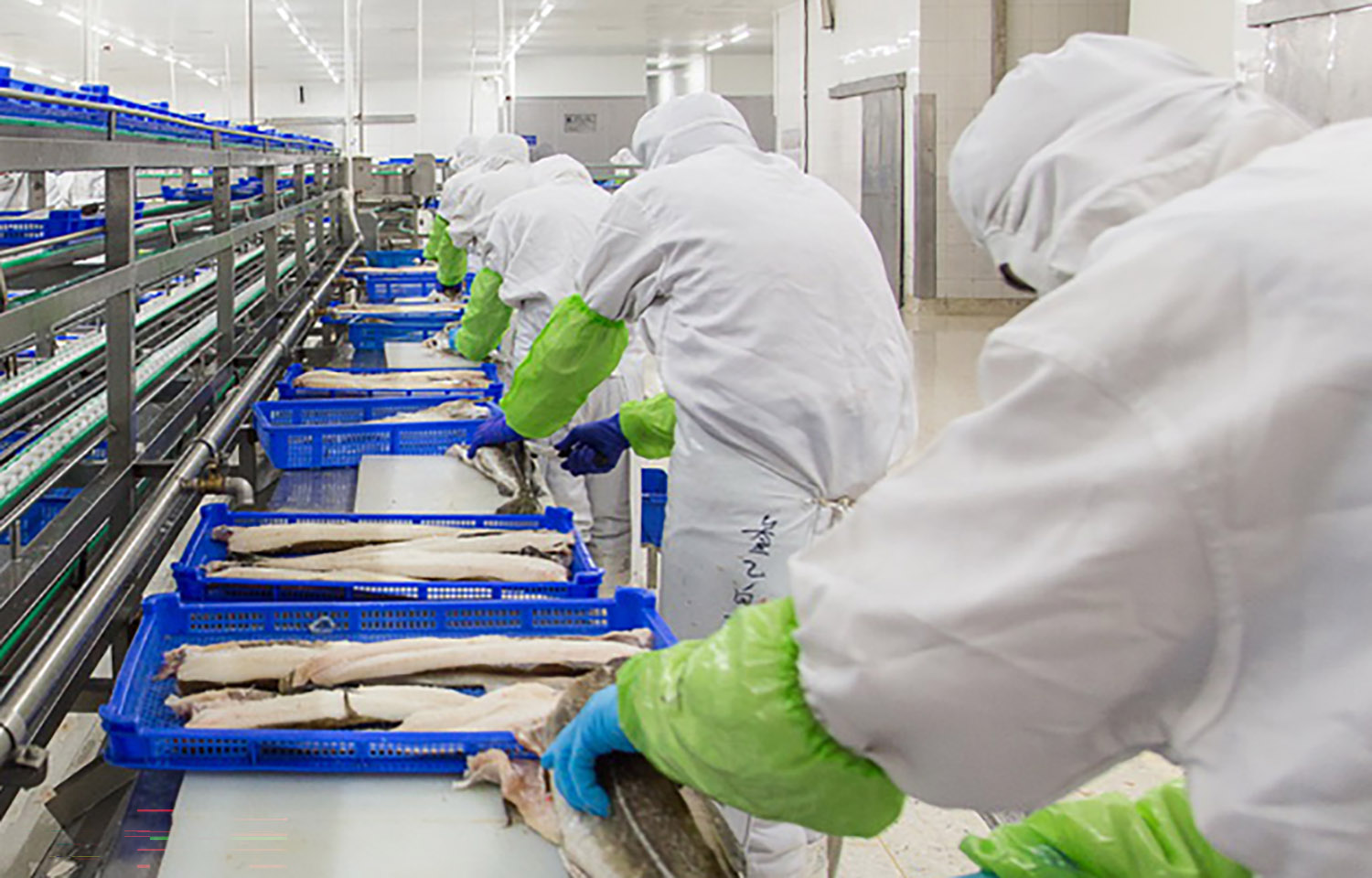 seafood supplier