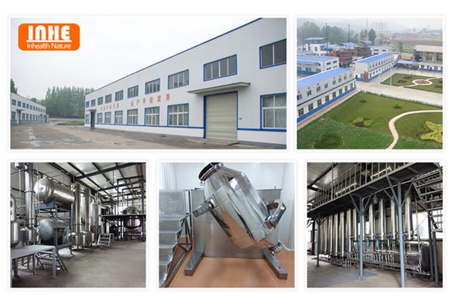 superoxide dismutase supplier