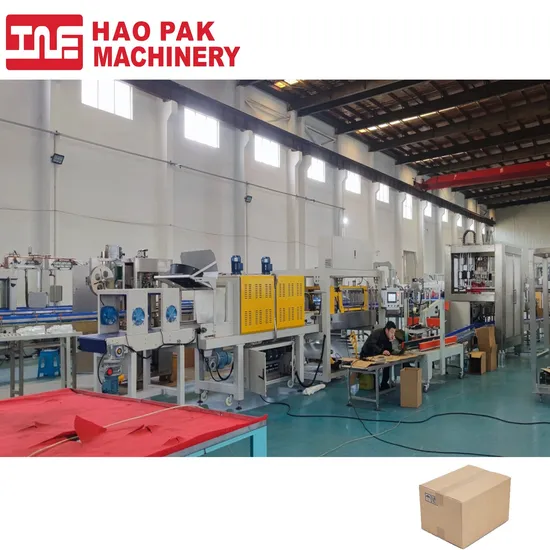 case packer manufacturers