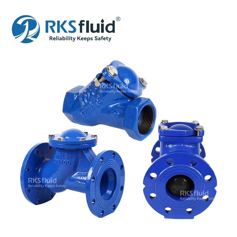 check valve manufacturer