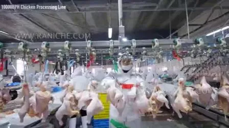 chicken manufacturers
