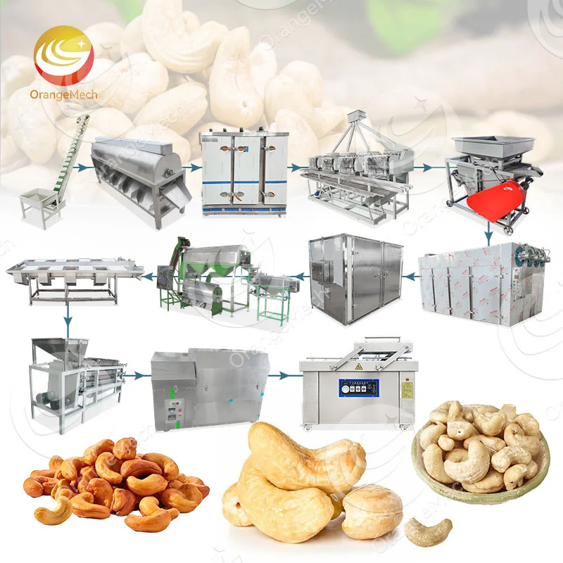 supplier of cashew nuts