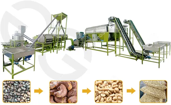 supplier of cashew nuts