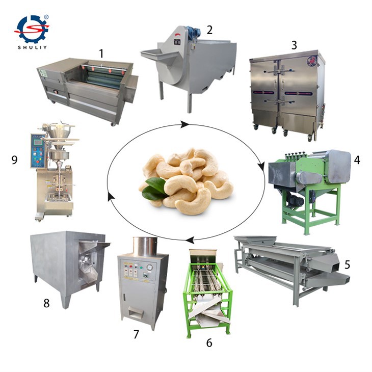 supplier of cashew nuts