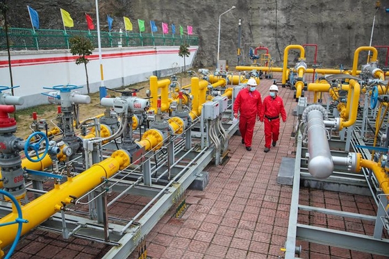 supplier of natural gas